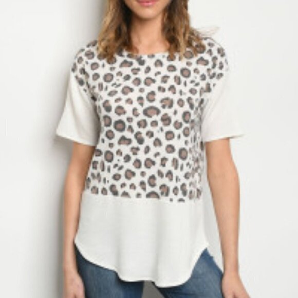 Leopard Print Color Block Top - Picture 1 of 2
